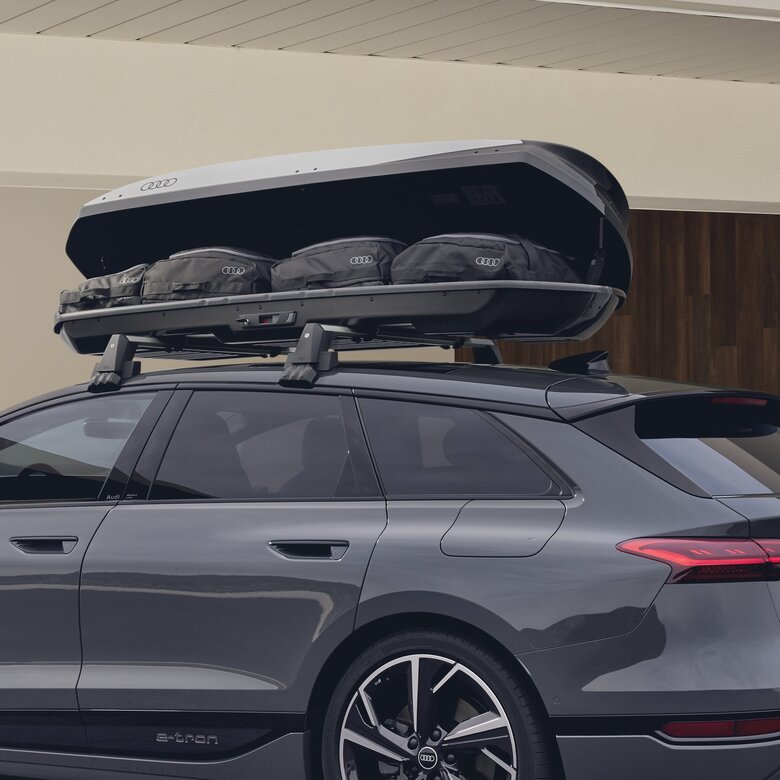 Ski- und Gepäckbox